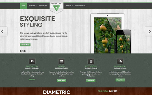 Template Diametric Website