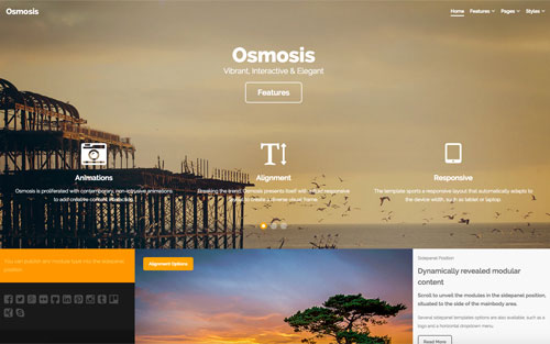 Template Osmosis Website