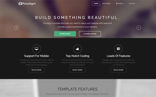 Paradigm Template Website