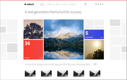 Template Salient Website
