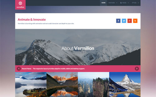 Template Vermilion Website